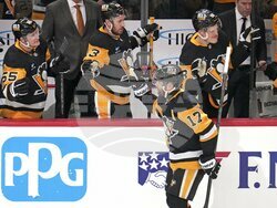 Oilers Penguins Hockey