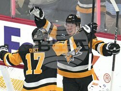 Oilers Penguins Hockey