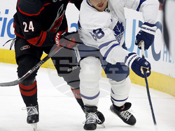 Maple Leafs Hurricanes Hockey