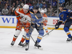 Ducks Blues Hockey