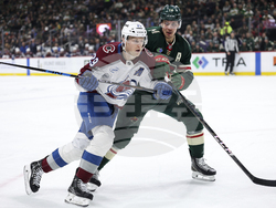 Avalanche Wild Hockey