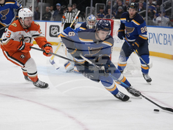 Ducks Blues Hockey