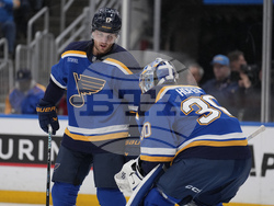 Ducks Blues Hockey
