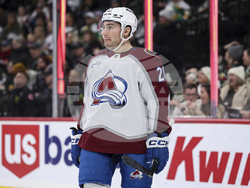 Avalanche Wild Hockey