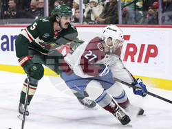 Avalanche Wild Hockey