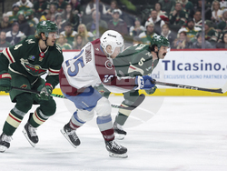 Avalanche Wild Hockey