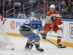 Ducks Blues Hockey
