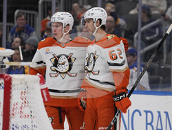 Ducks Blues Hockey