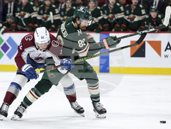 Avalanche Wild Hockey