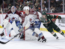 Avalanche Wild Hockey