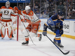 Ducks Blues Hockey