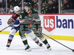 Avalanche Wild Hockey