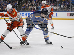 Ducks Blues Hockey