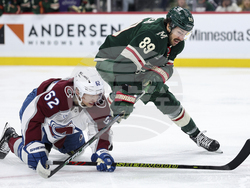 Avalanche Wild Hockey
