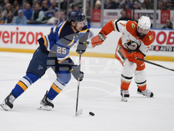 Ducks Blues Hockey