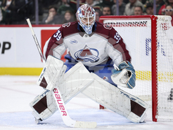 Avalanche Wild Hockey