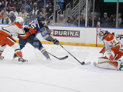 Ducks Blues Hockey