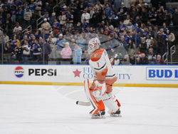 Ducks Blues Hockey