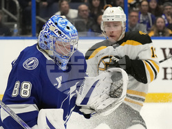 Bruins Lightning Hockey