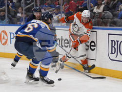 Ducks Blues Hockey