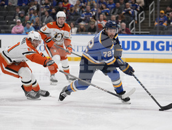 Ducks Blues Hockey