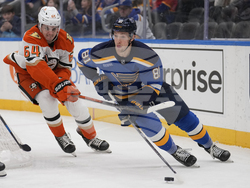 Ducks Blues Hockey