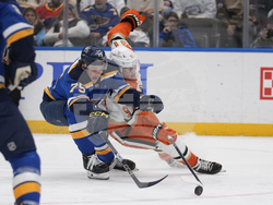 Ducks Blues Hockey