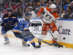 Ducks Blues Hockey