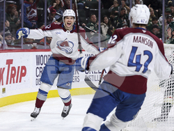 Avalanche Wild Hockey