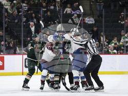 Avalanche Wild Hockey