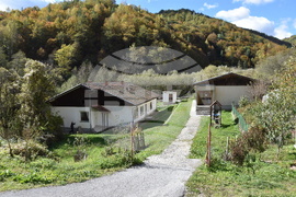 Сърбия - Село Бистър - изглед