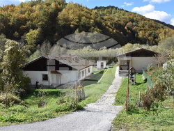 Сърбия - Село Бистър - изглед