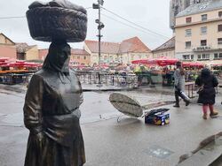 Хърватия - президентски избори - предизборна обстановка