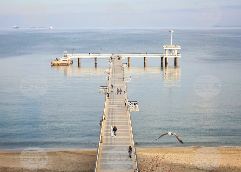 Nearly 45% of Workforce in Burgas Are Employed in Services