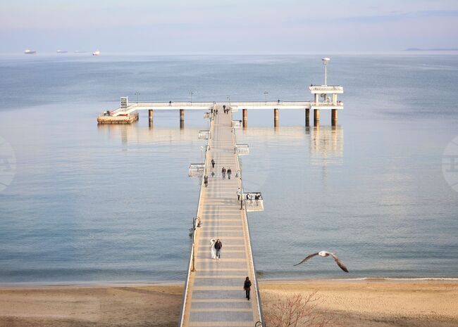 Nearly 45% of Workforce in Burgas Are Employed in Services