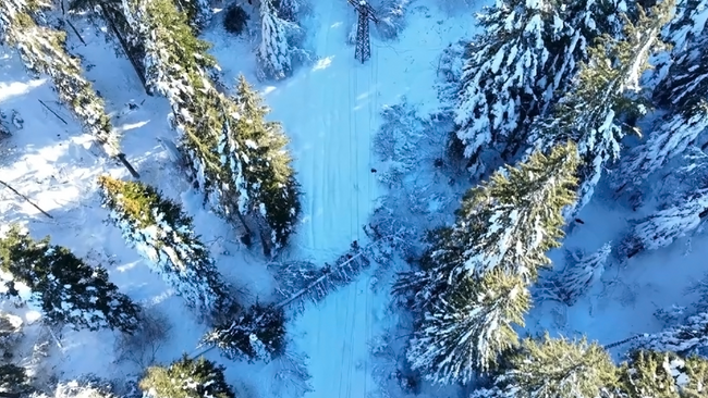 Над 30 стълба и 1000 изолатора са счупени от снега по време на коледните празници в края на миналата година