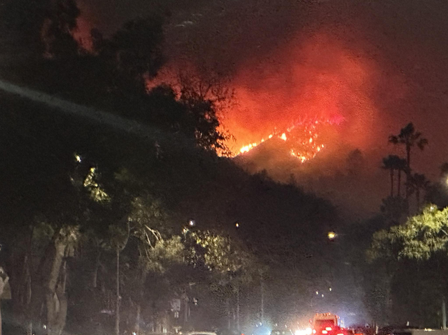 Антоан Петров, Лос Анджелис: Условията за буйни пожари са максимални - избуяла от дъждовете преди година растителност и сухи ветрове