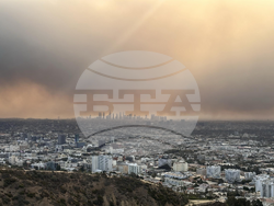 Антоан Петров, Лос Анджелис: Условията за буйни пожари са максимални - избуяла от дъждовете преди година растителност и сухи ветрове