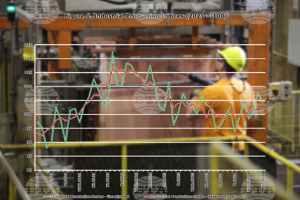 Industrial Production in Bulgaria Rises on Monthly and Annual Basis, National Statistical Institute Reports for November 2024