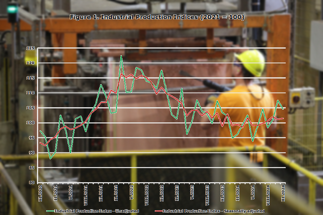 Industrial Production in Bulgaria Rises on Monthly and Annual Basis, National Statistical Institute Reports for November 2024