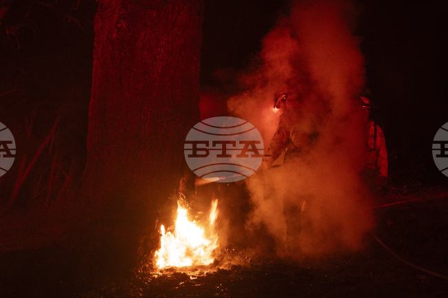 Горски пожар избухна в окръг Одрин близо до българо-турската граница 