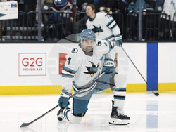 Sharks Utah Hockey