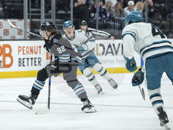 Sharks Utah Hockey