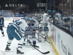 Sharks Utah Hockey