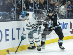 Sharks Utah Hockey