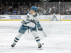 Sharks Utah Hockey