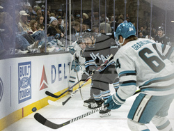 Sharks Utah Hockey