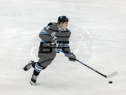 Sharks Utah Hockey