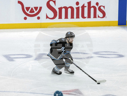 Sharks Utah Hockey