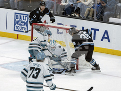 Sharks Utah Hockey